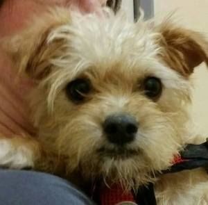 Meet your Posher, Esther